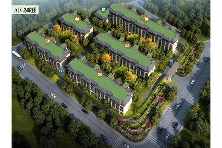 墙排水管离地多高